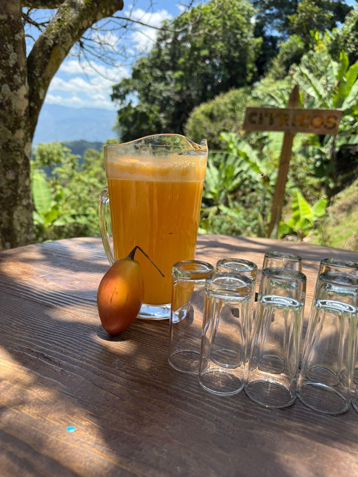 Letrero medellín es una chimba, comuna 13, tour grupal